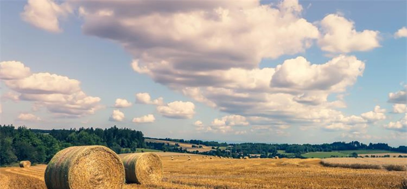 Vučković: Moratorij na prodaju poljoprivrednog zemljišta strancima je važna odluka